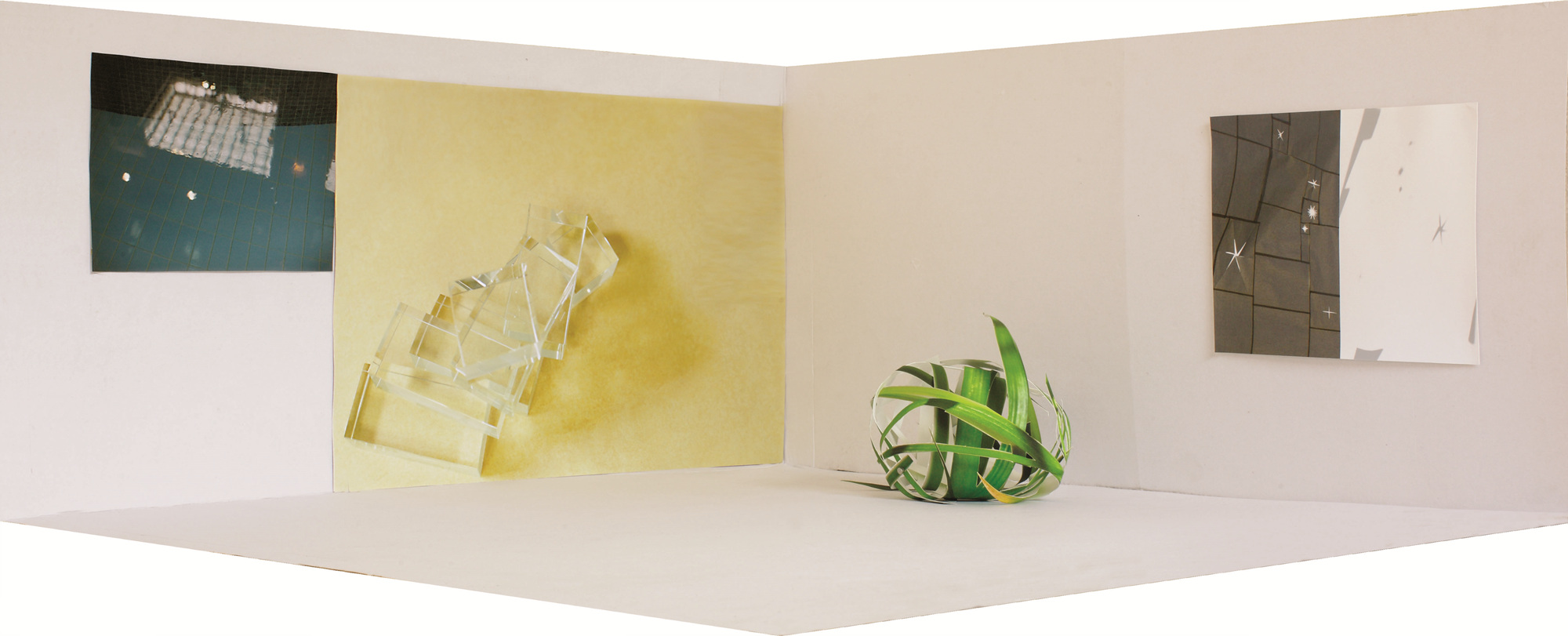 installation view, 2011