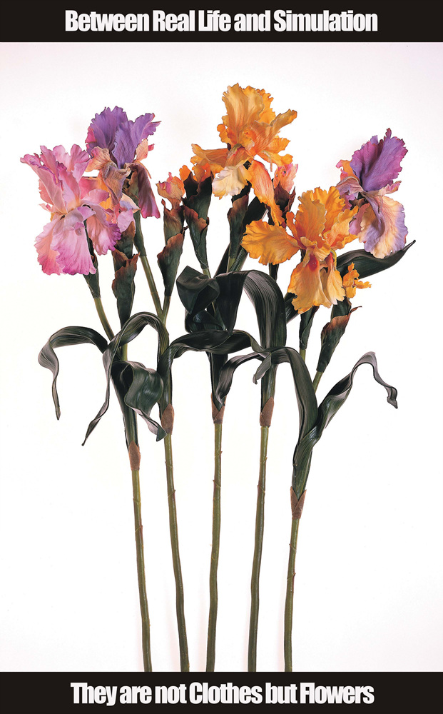 02 Collecting Mass Cult Context _ 꽃, 2003