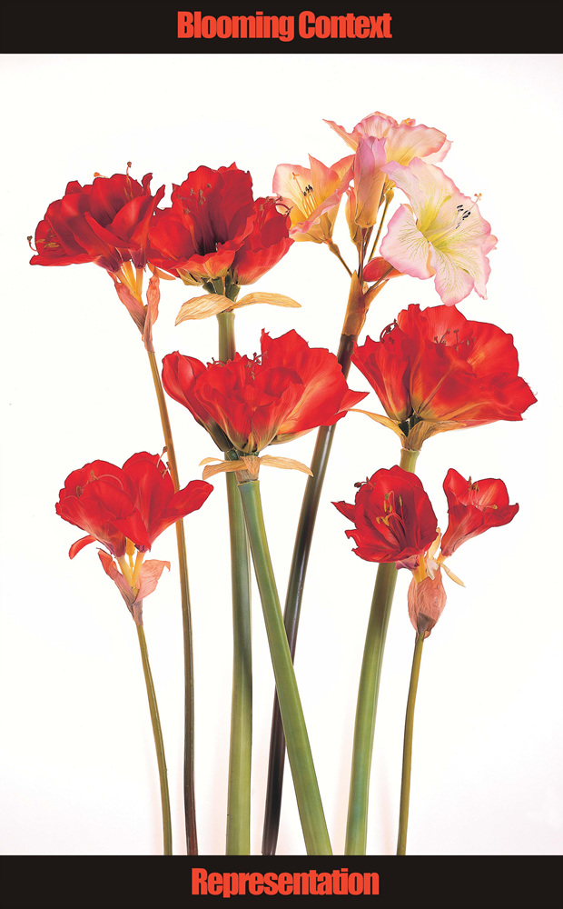 03 Collecting Mass Cult Context _ 꽃, 2003