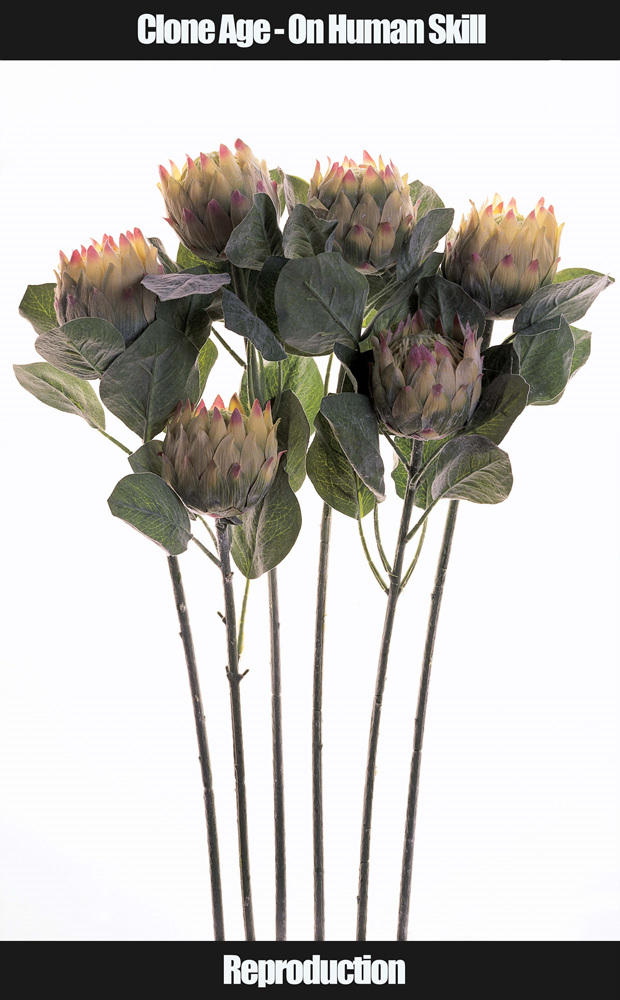 04 Collecting Mass Cult Context _ 꽃, 2003