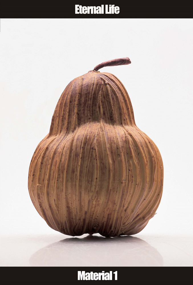 06 Collecting Mass Cult Context _ 채소, 2003