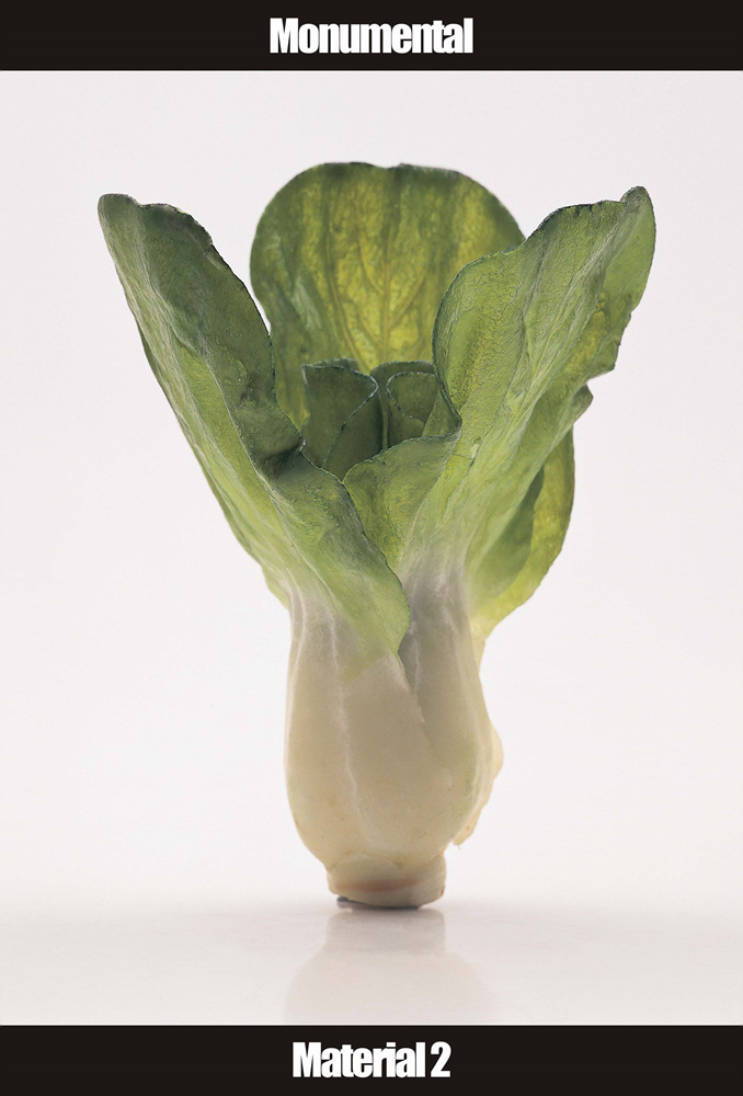 07 Collecting Mass Cult Context _ 채소, 2003