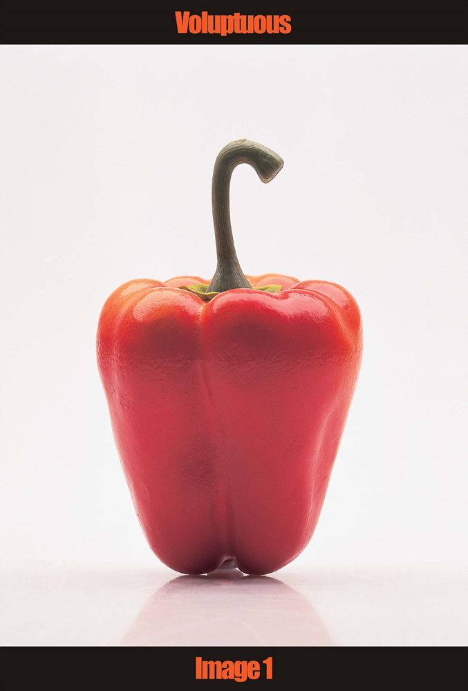 08 Collecting Mass Cult Context _ 채소, 2003