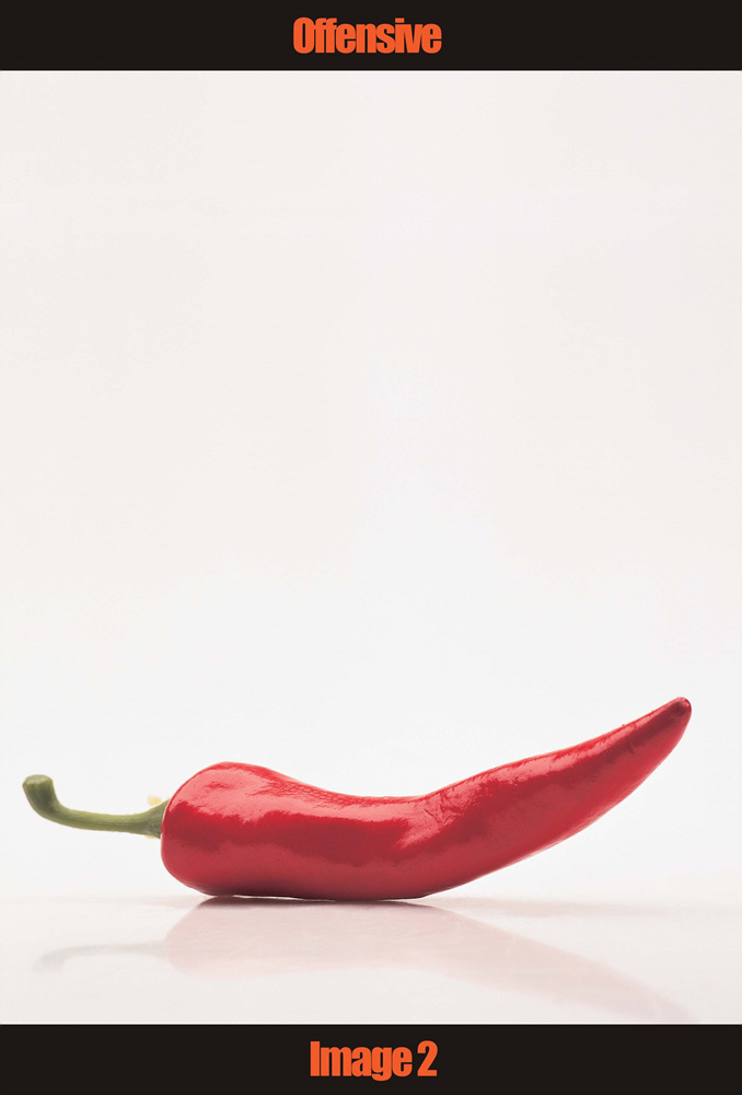 09 Collecting Mass Cult Context _ 채소, 2003