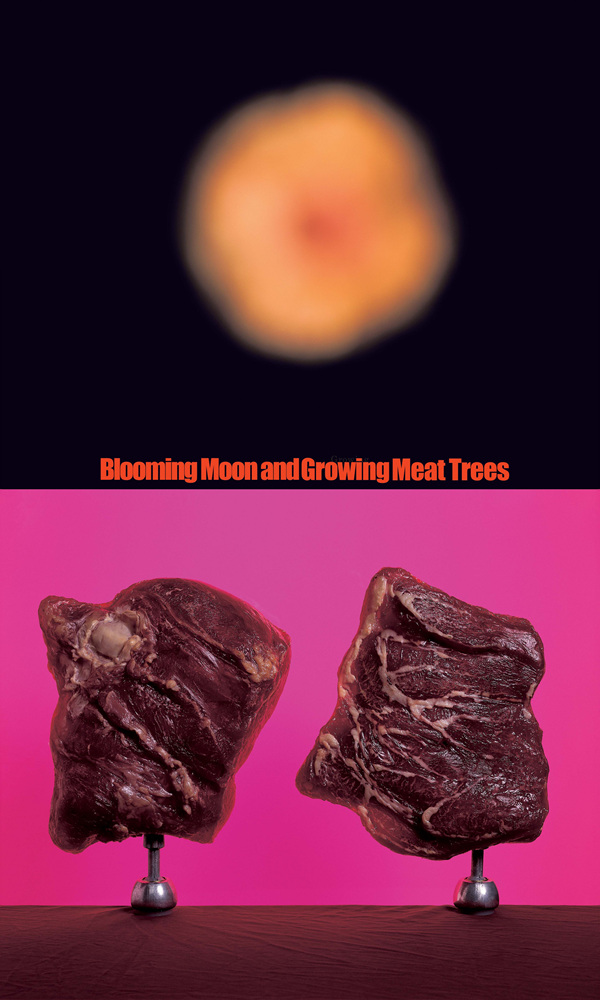 11 Collecting Mass Cult Context _ 달고기, 2003