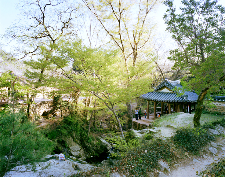 01 In Green Heaven _ 오래된정원 the old garden, 2005