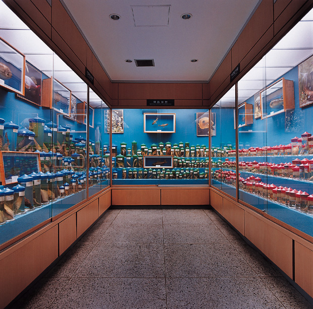 01 자연사 박물관, 2001