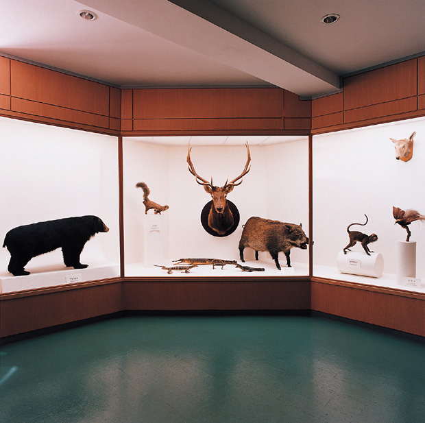 02 자연사 박물관, 2001