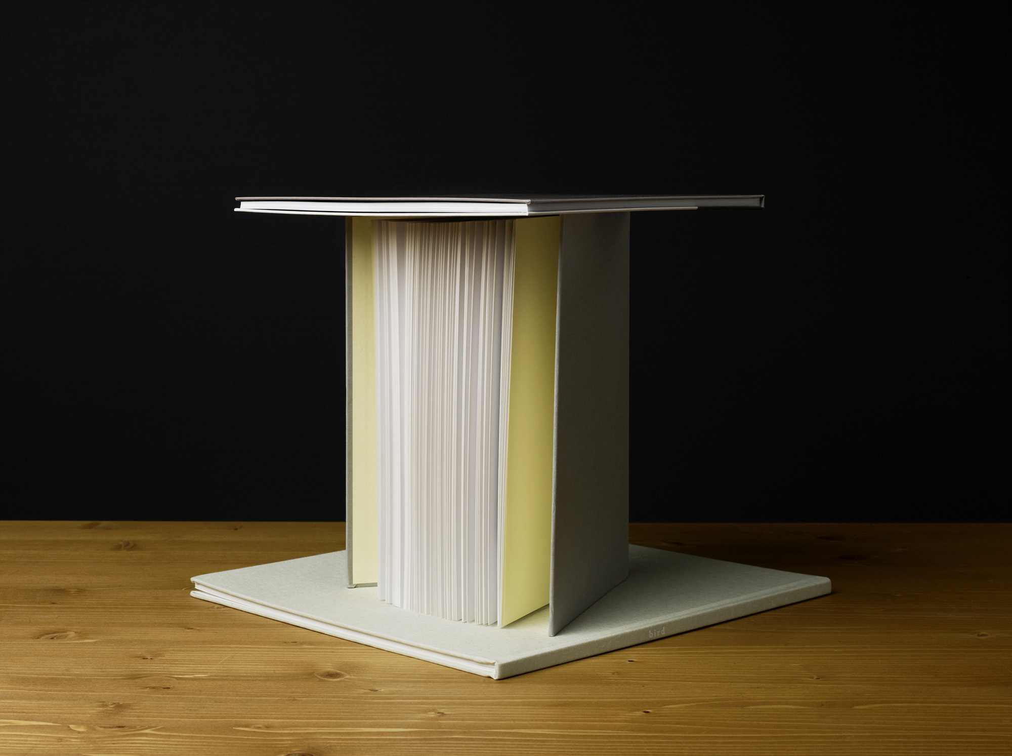 02_Still Life_Bird, Archival Pigment Print, 106x140cm, 2009