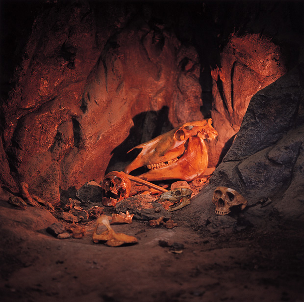 04 자연사 박물관, 2001