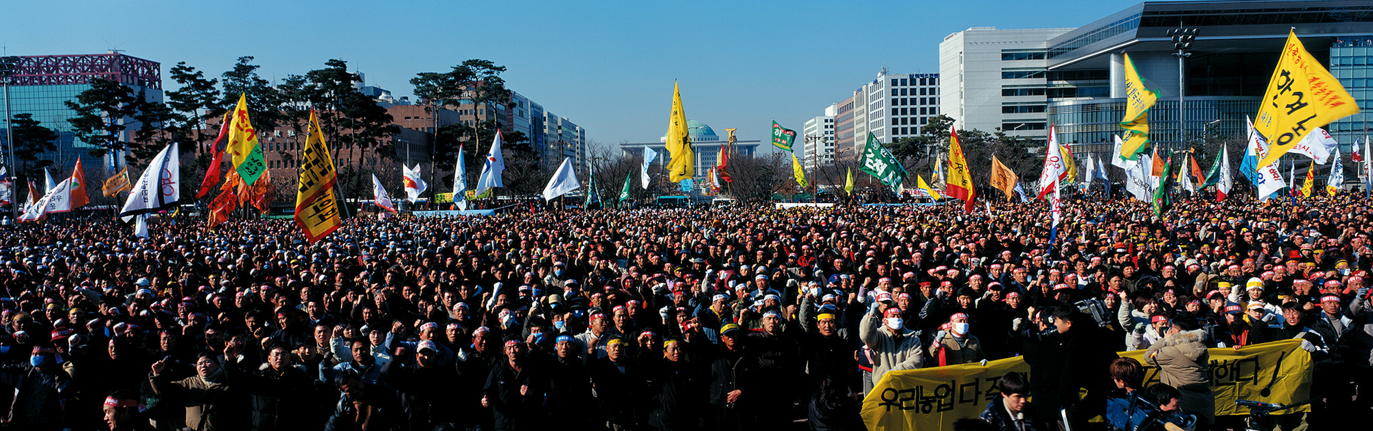 A Society of Gap, 2003-2004 040