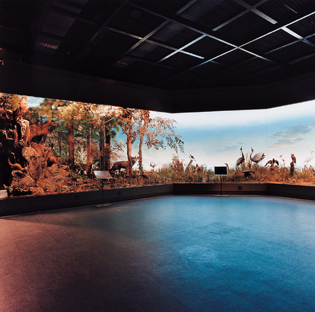 05 자연사 박물관, 2001