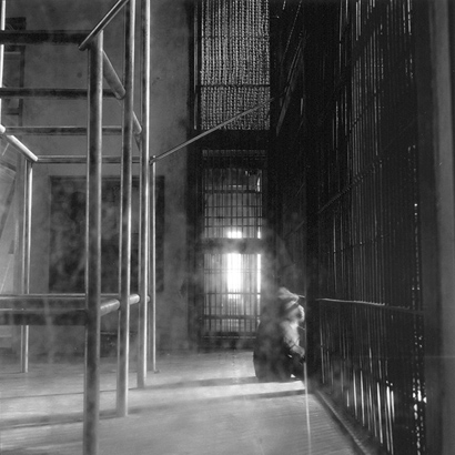 동물원 _ 창틀 앞의 원숭이, 1998-1999