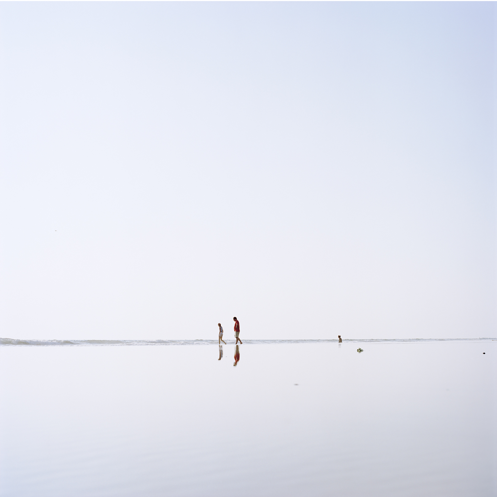 070621_ilw_13_flatten spotting