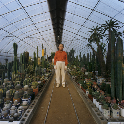 내곡동 _ 할아버지 - 선인장 가게, 2000