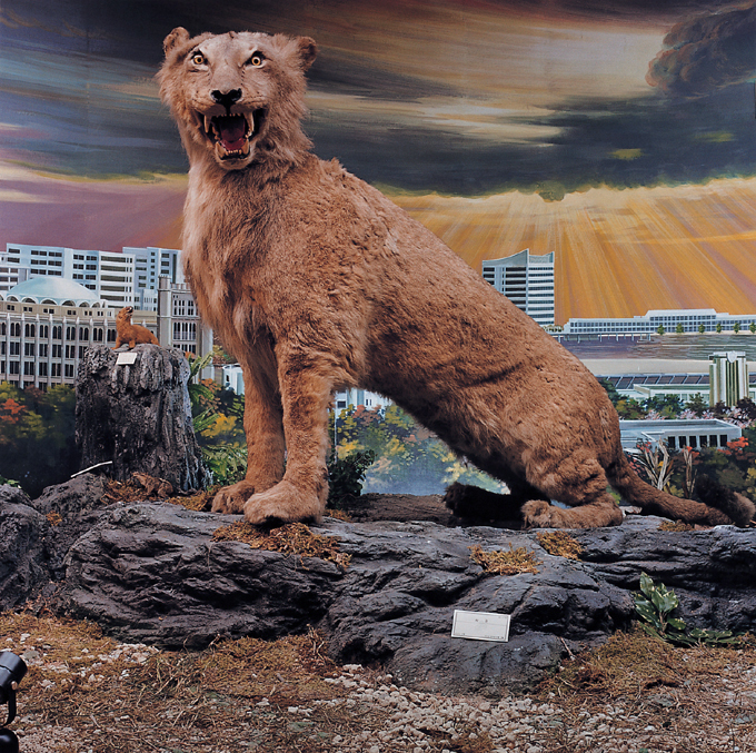 08 자연사 박물관, 2001