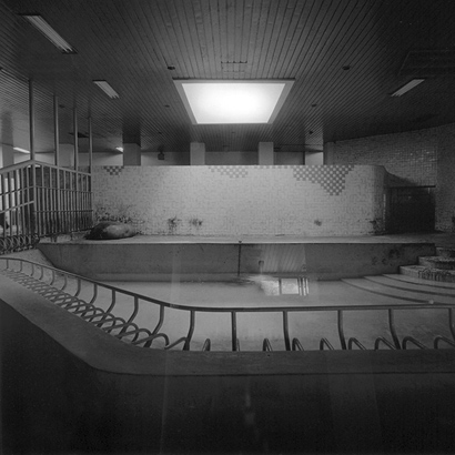 동물원 _ 잠자는 하마들, 1998-1999