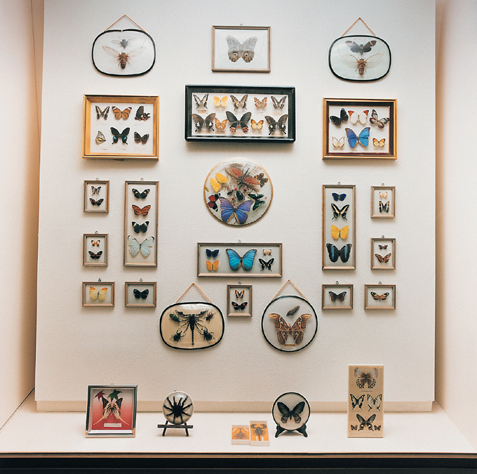 12 자연사 박물관, 2001