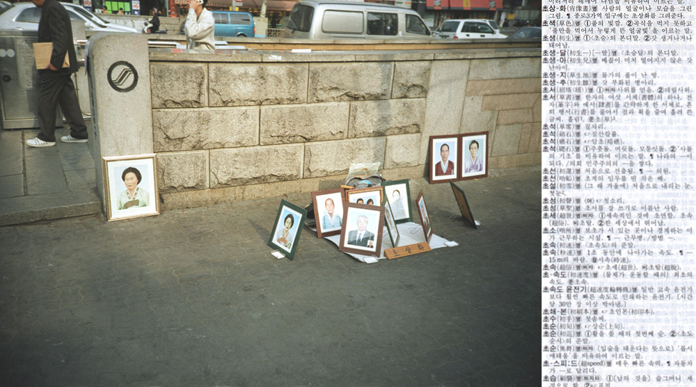 14 picturenary _ portrait, 2003