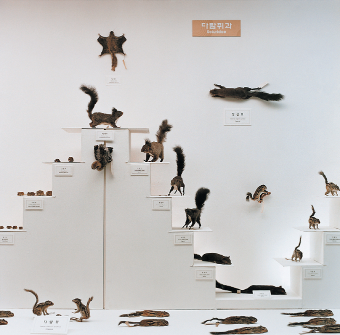 14 자연사 박물관, 2001