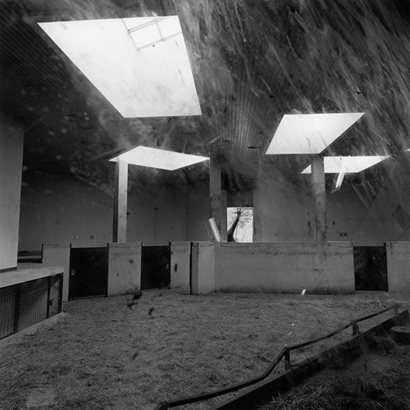 동물원 _ 기린 우리, 1998-1999