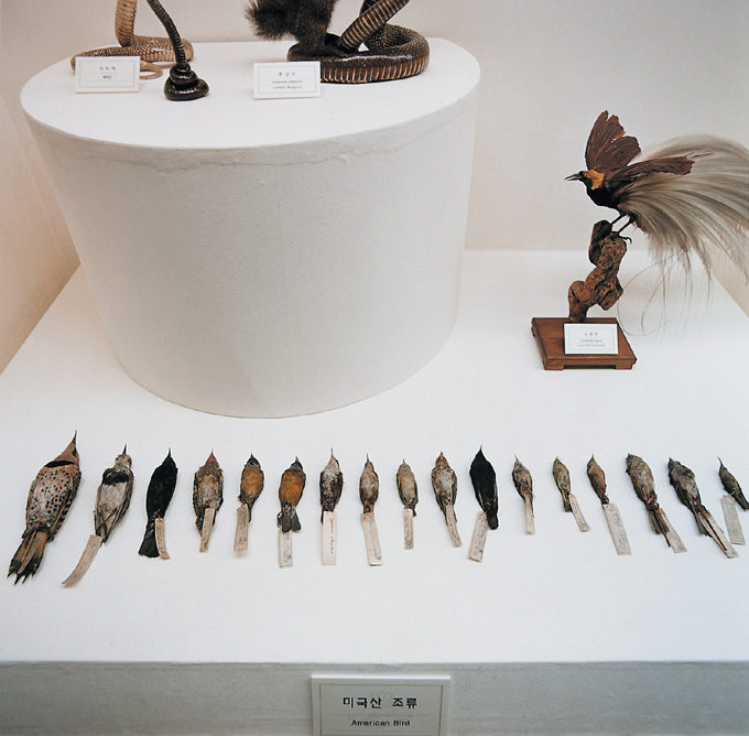 16 자연사 박물관, 2001