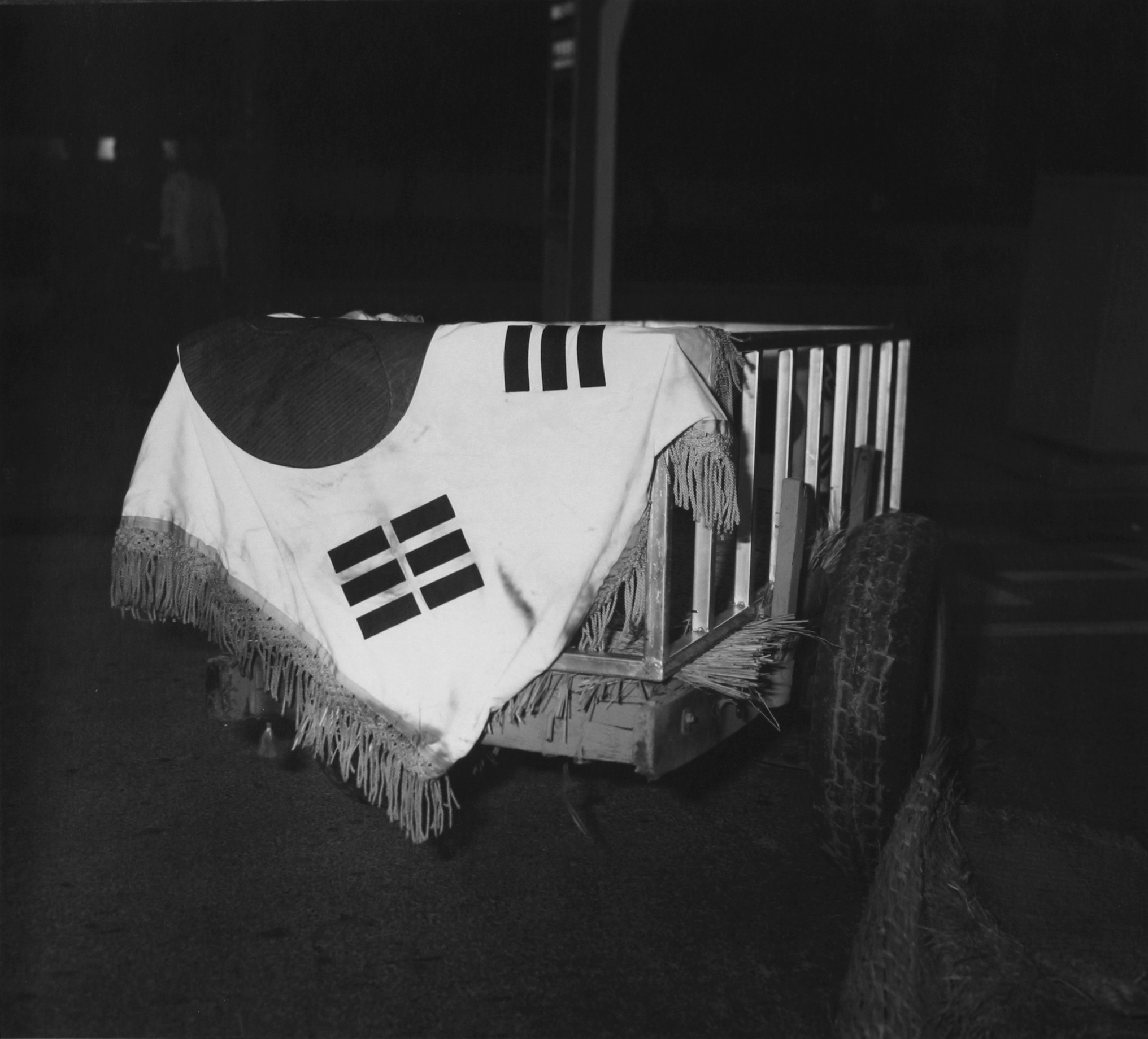 19.태극기가 얹혀진 수레, 1995년 9월 28일