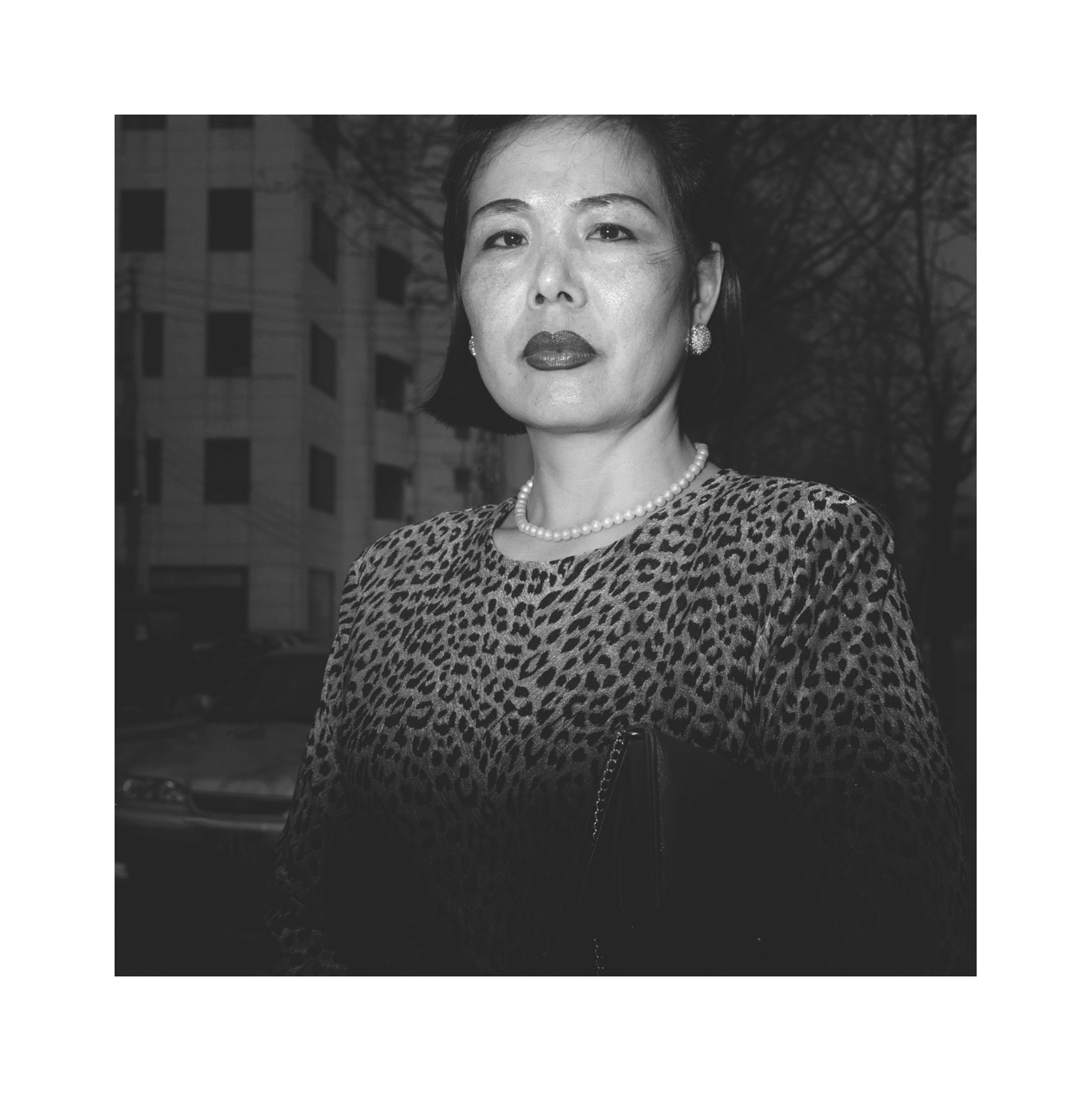 3 호랑이 무늬 옷을 입은 아줌마, 1997년 3월 27일