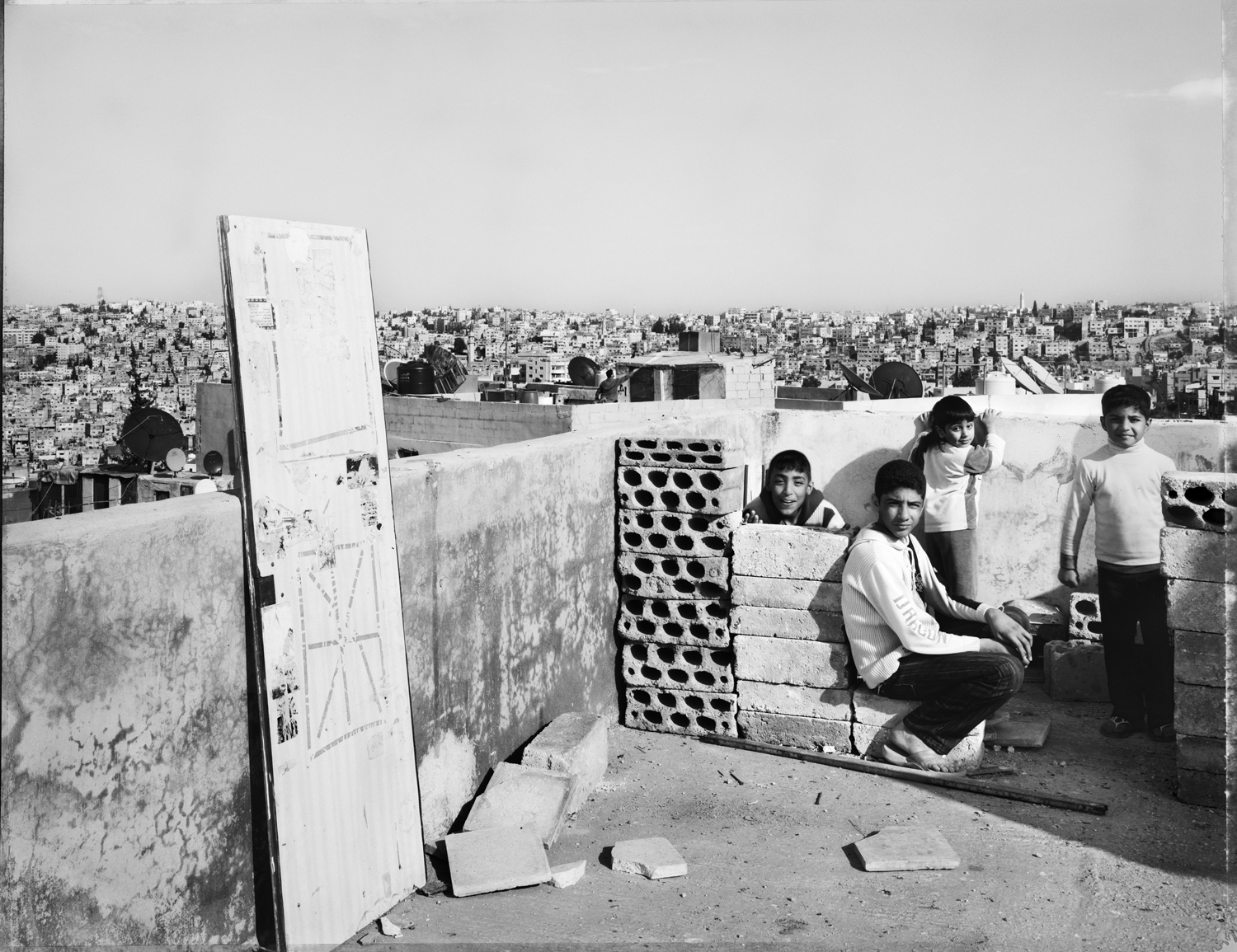 4.Pigeons_Jabal Al Naser, Jordan 2009