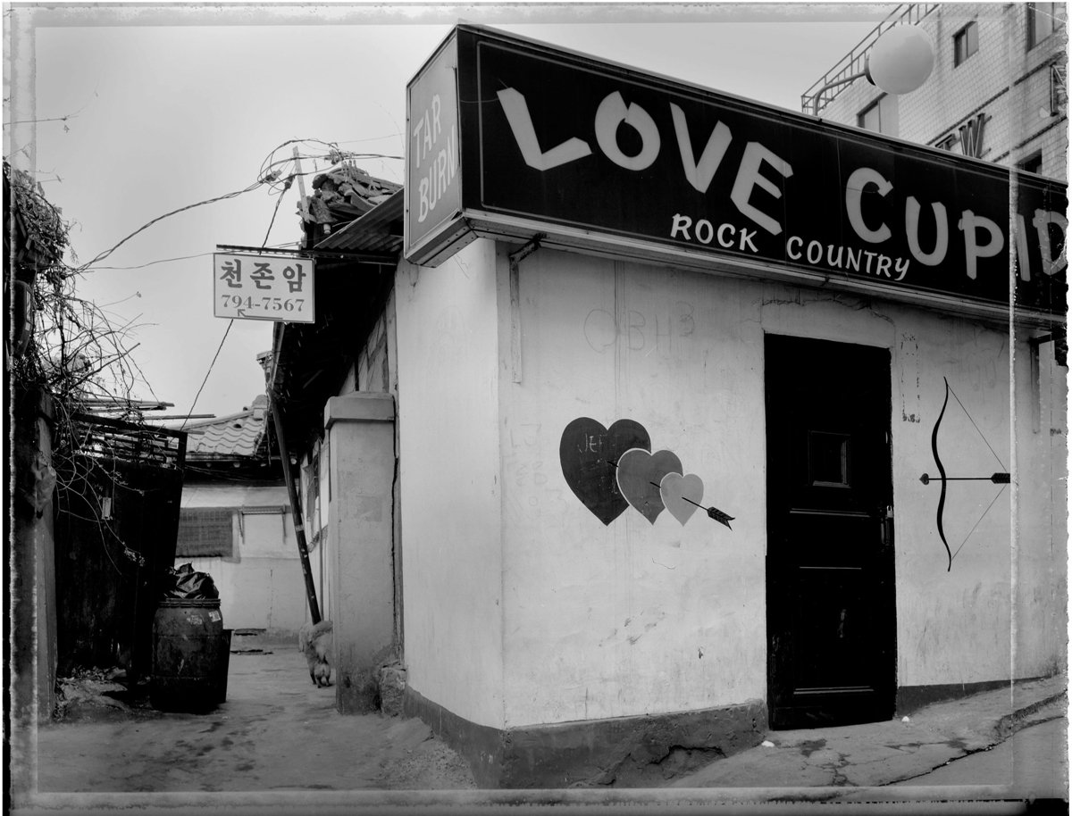 7 천존암 골목, 1993