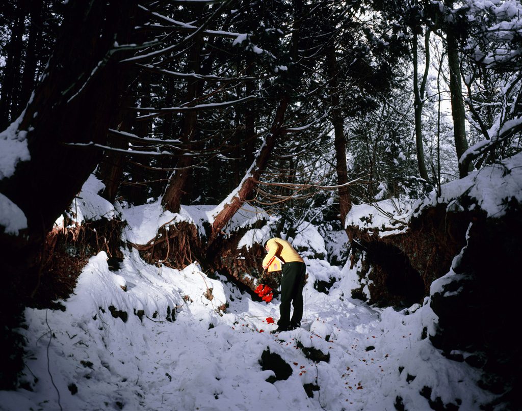 A voyage-4, Going home, C print, 103x130cm, 2008