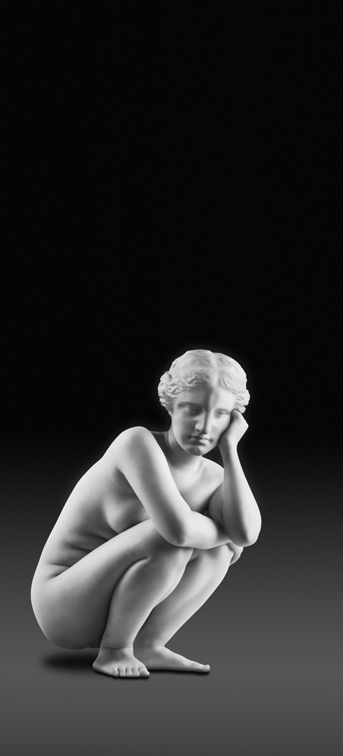 An Everyday Venus II-Thinking Venus, 220x110cm, Lightjet print, 2006