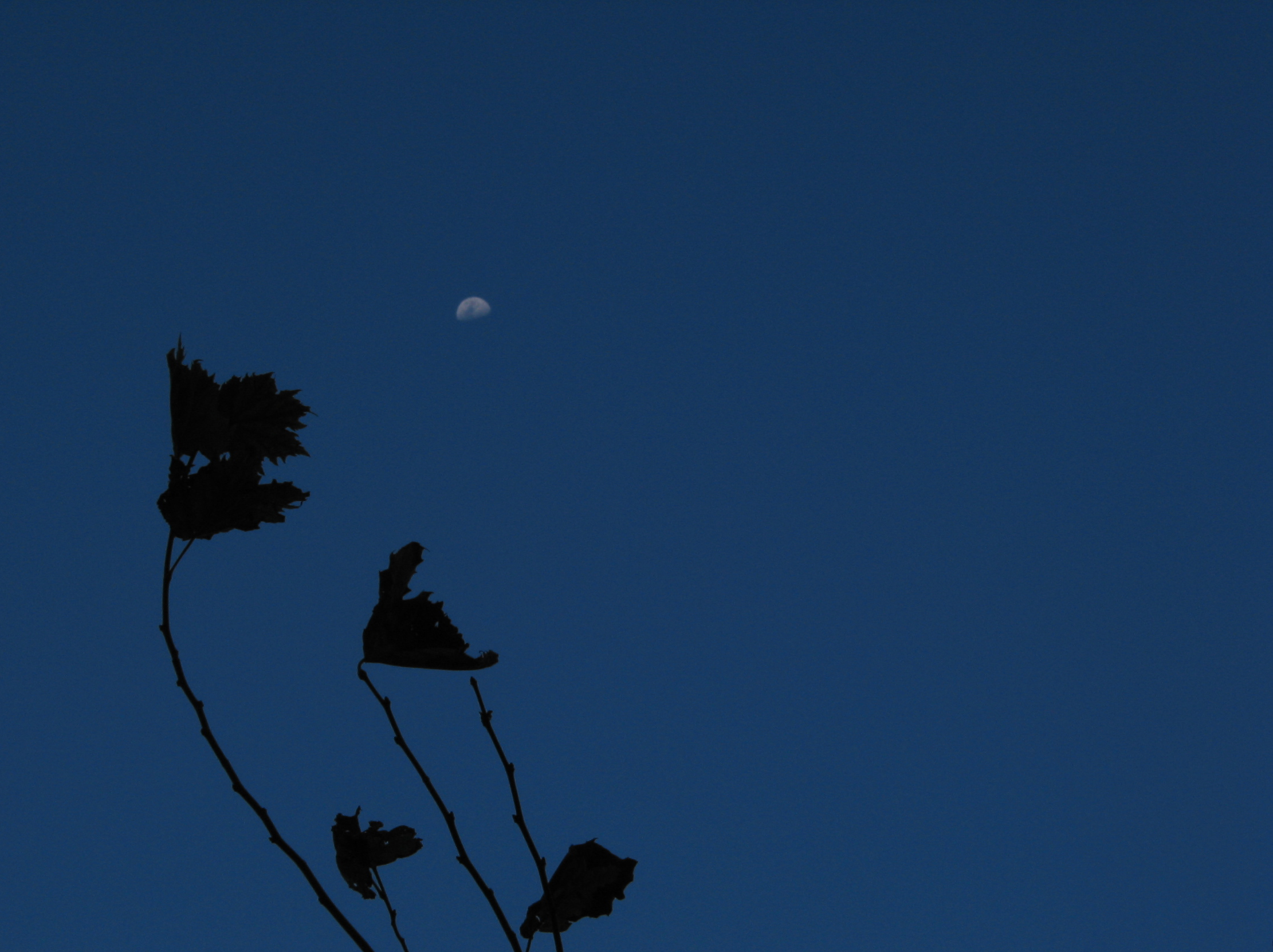 F-1.7] Twilight Zone, digital file, 2272x1704 pixel