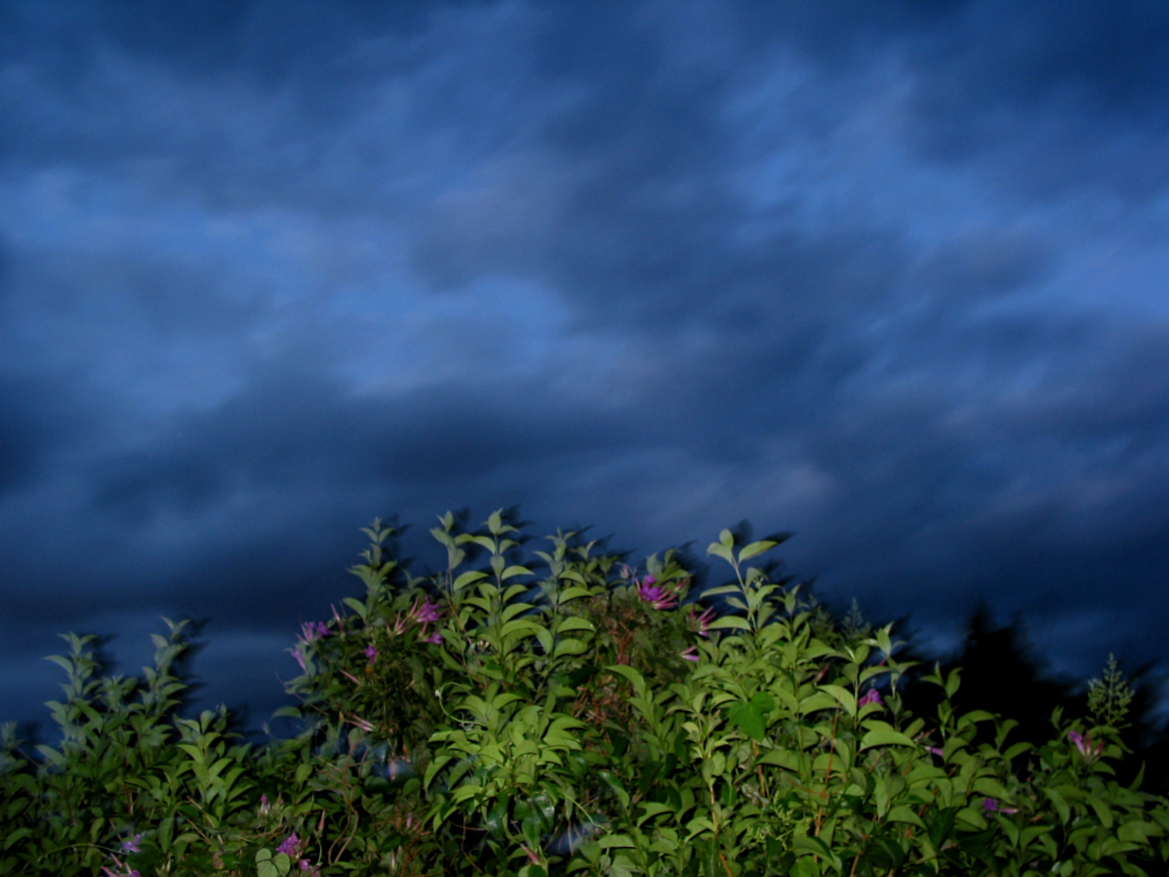 F-1.8] Transition, digital file, 2272x1704 pixel