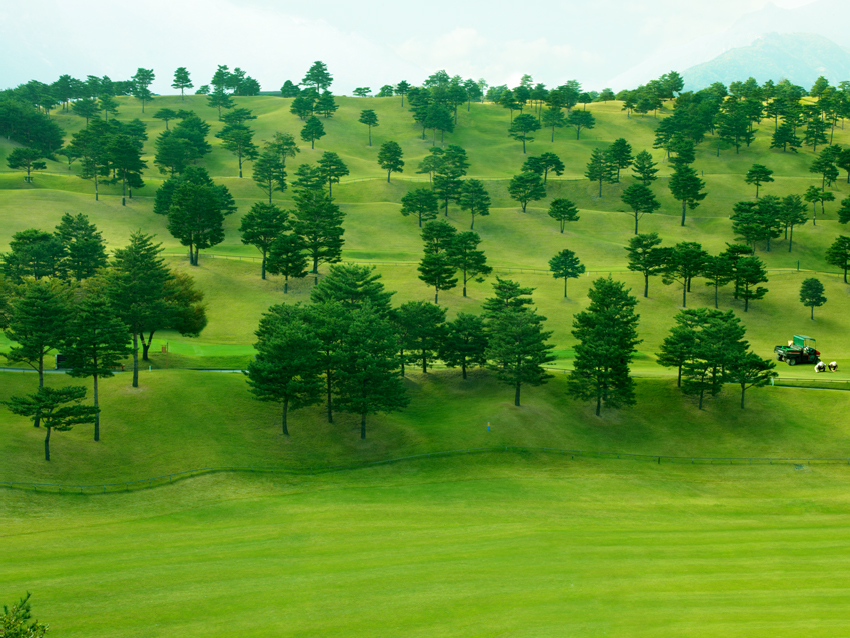 Goodbye Stranger 3 No.12, c-print, 100x130cm, 2009