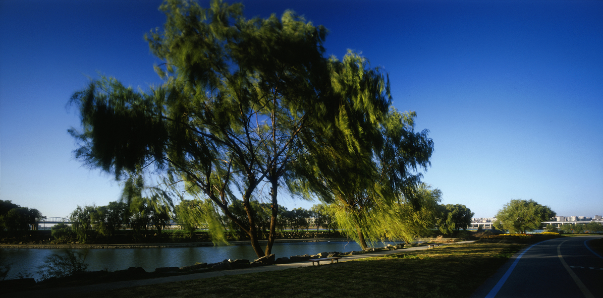 Paradise in Seoul #002,S Korea,2005