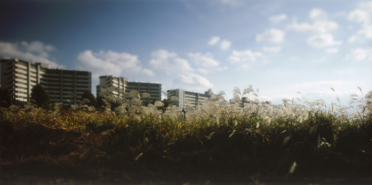 Paradise in Seoul #008,S Korea,2005