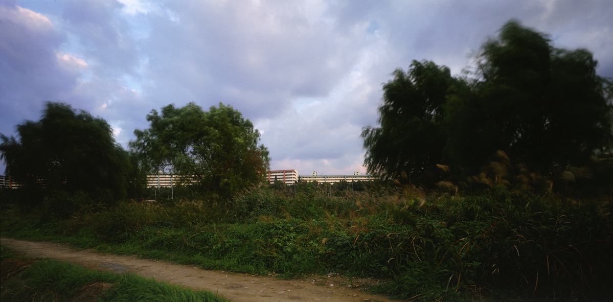 Paradise in Seoul #011,S Korea,2005