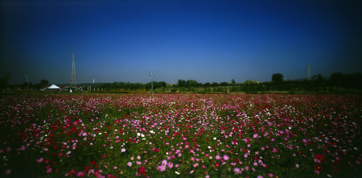 Paradise in Seoul #012,S Korea,2005