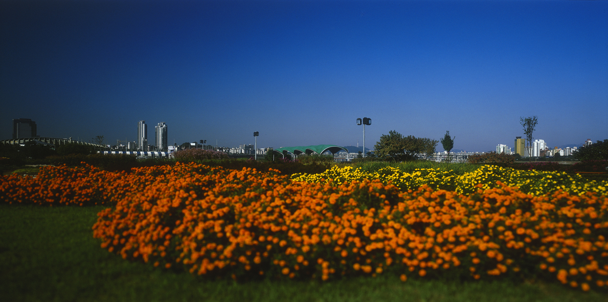 Paradise in Seoul #013,S Korea,2005