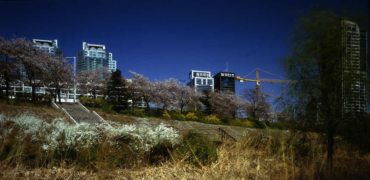 Paradise in Seoul #014,S Korea,2006