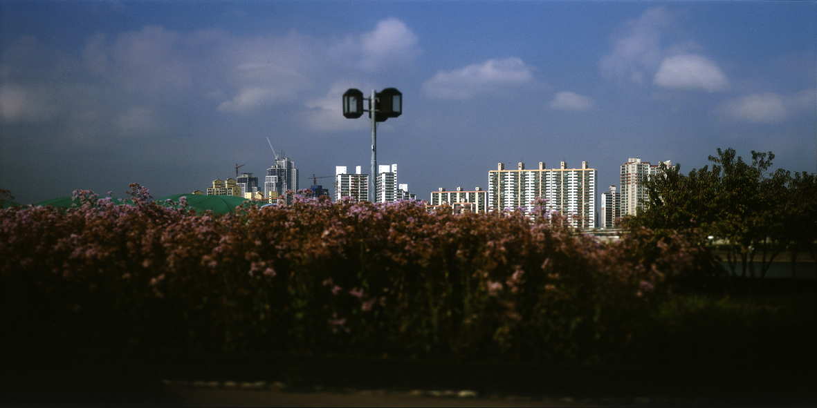 Paradise in Seoul #015,S Korea,2005