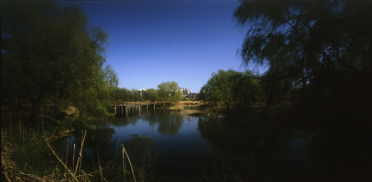 Paradise in Seoul #017,S Korea,2006