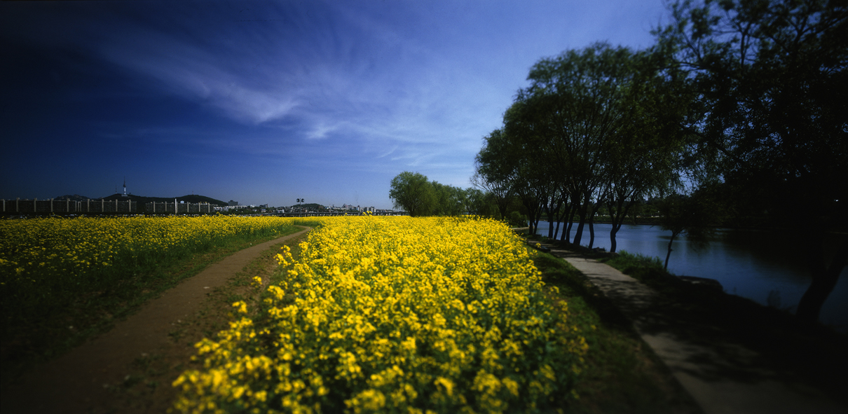 Paradise in Seoul #022,S Korea,2007
