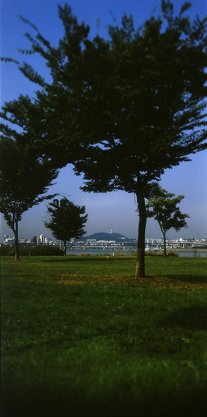 Paradise in Seoul #033,S Korea,2005