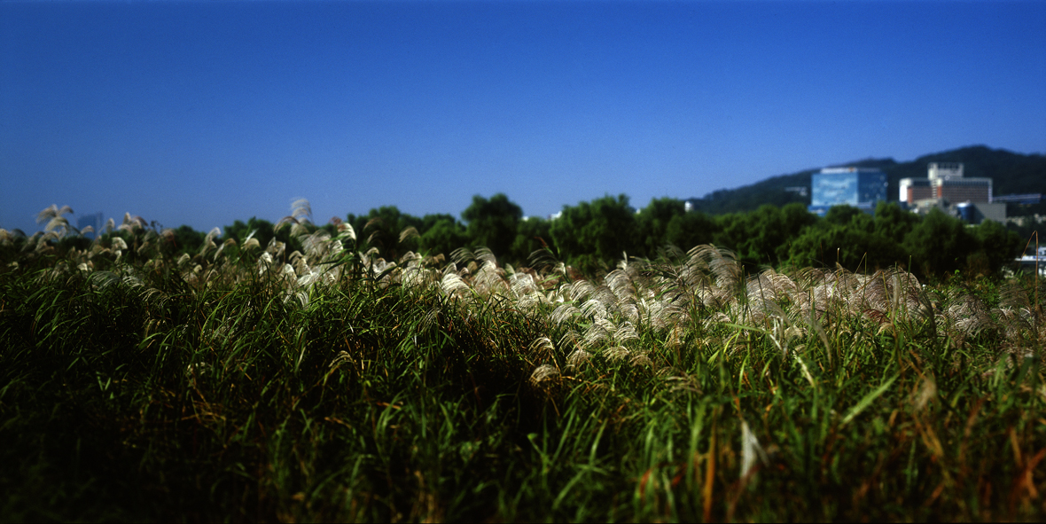 Paradise in Seoul #034,S Korea,2005