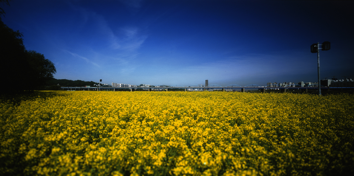 Paradise in Seoul #038,S Korea,2007