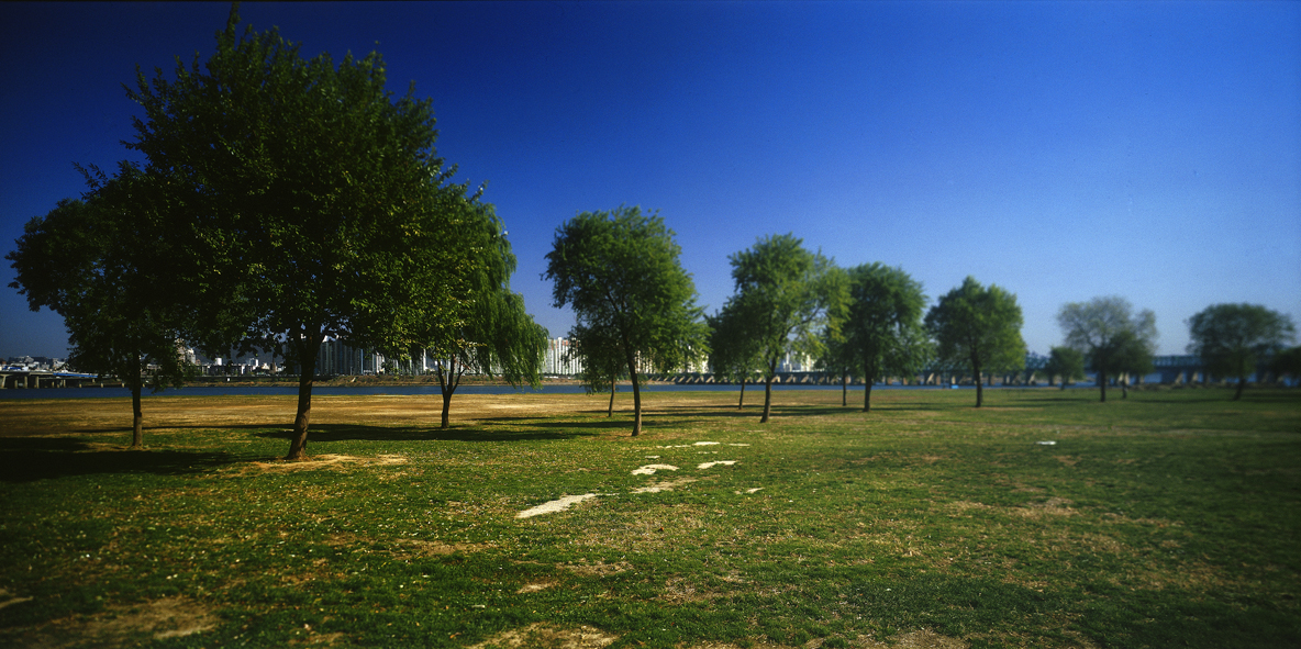 Paradise in Seoul #039,S Korea,2005