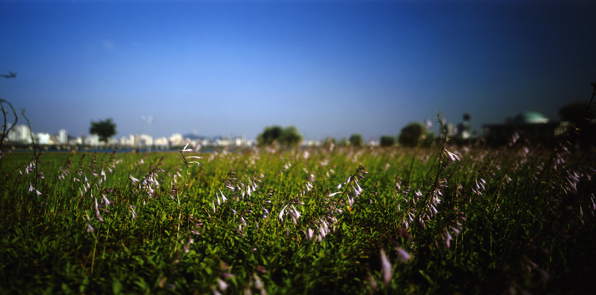 Paradise in Seoul #040,S Korea,2005