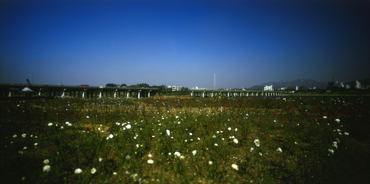 Paradise in Seoul #042,S Korea,2005
